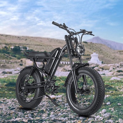 20 Zoll Elektrofahrrad E-mountainbike 500W Shimano eBike Fatbike Pedelec e Mtb