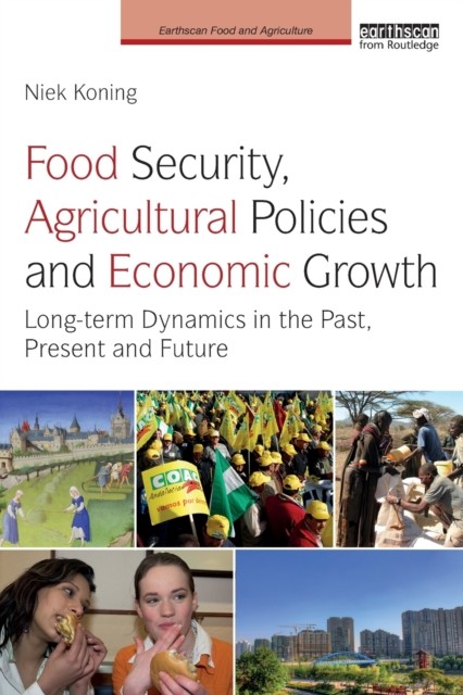 Food Security Agricultural Policies and Economic  by Niek  Koning PAPERBACK
