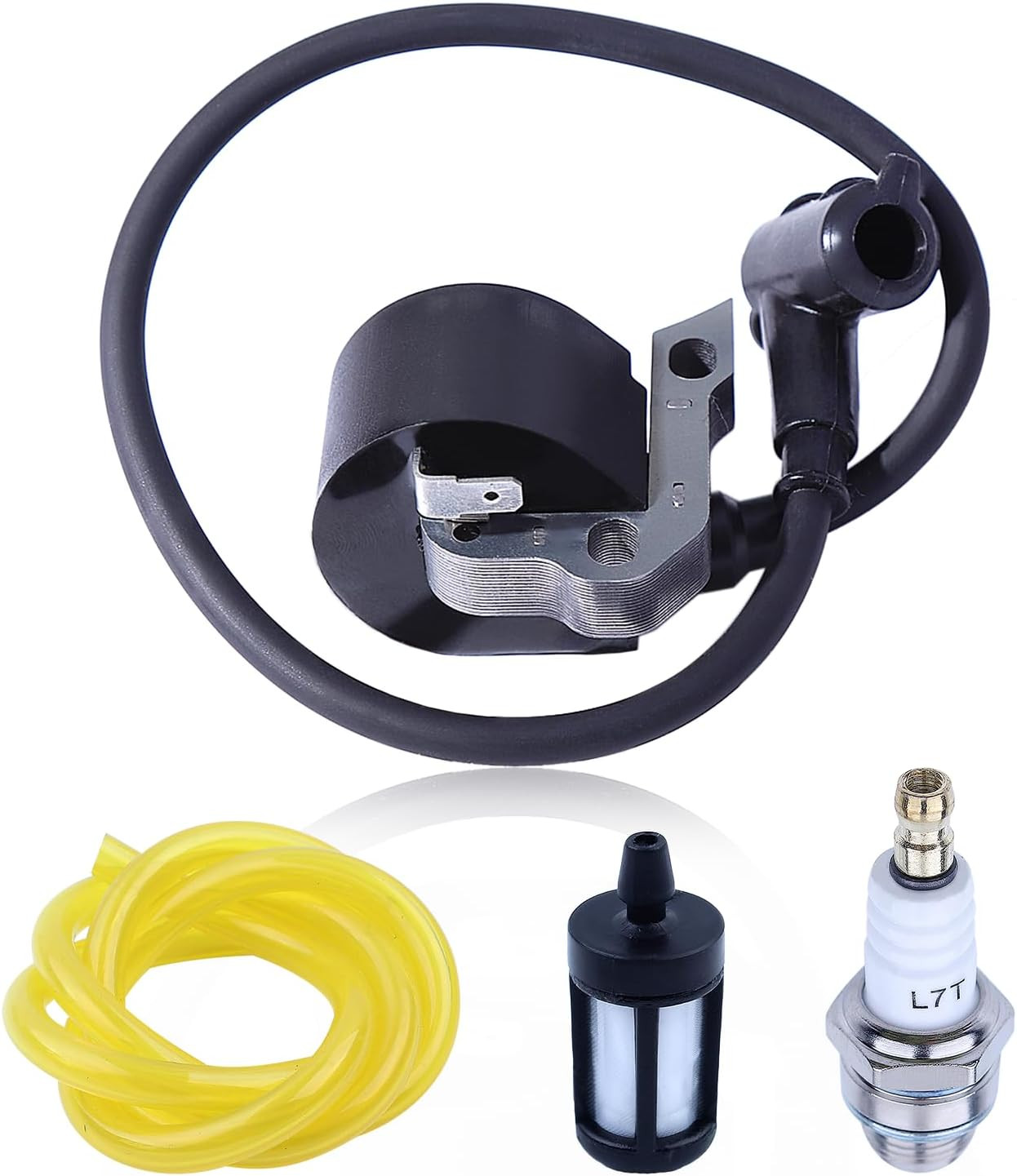 Kit Risveglio Motore Stihl: Bobina Accensione e Candela BR320 BR420 SR400