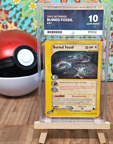 Buried Fossil graded ACE 10 for sale on eBay