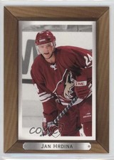 2003-04 Upper Deck Bee Hive Jan Hrdina #151 0a4