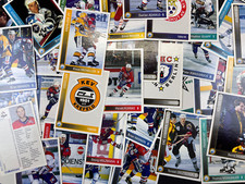 DEL Playercards Saison 1994/95 Auswahl #001-#250 Eishockey 94/95