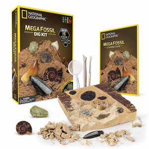 homemade geology dig kit