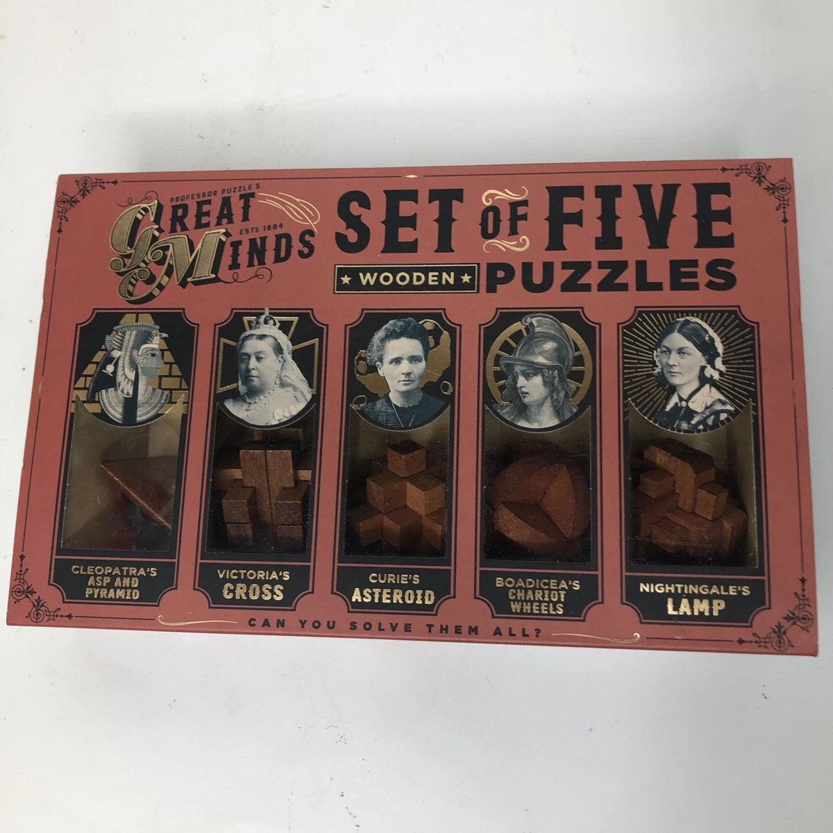 Great Minds Set of 5 Wooden Puzzle Compendium Professor Puzzle