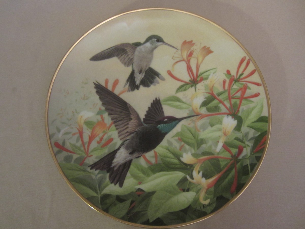 HUMMINGBIRD 
