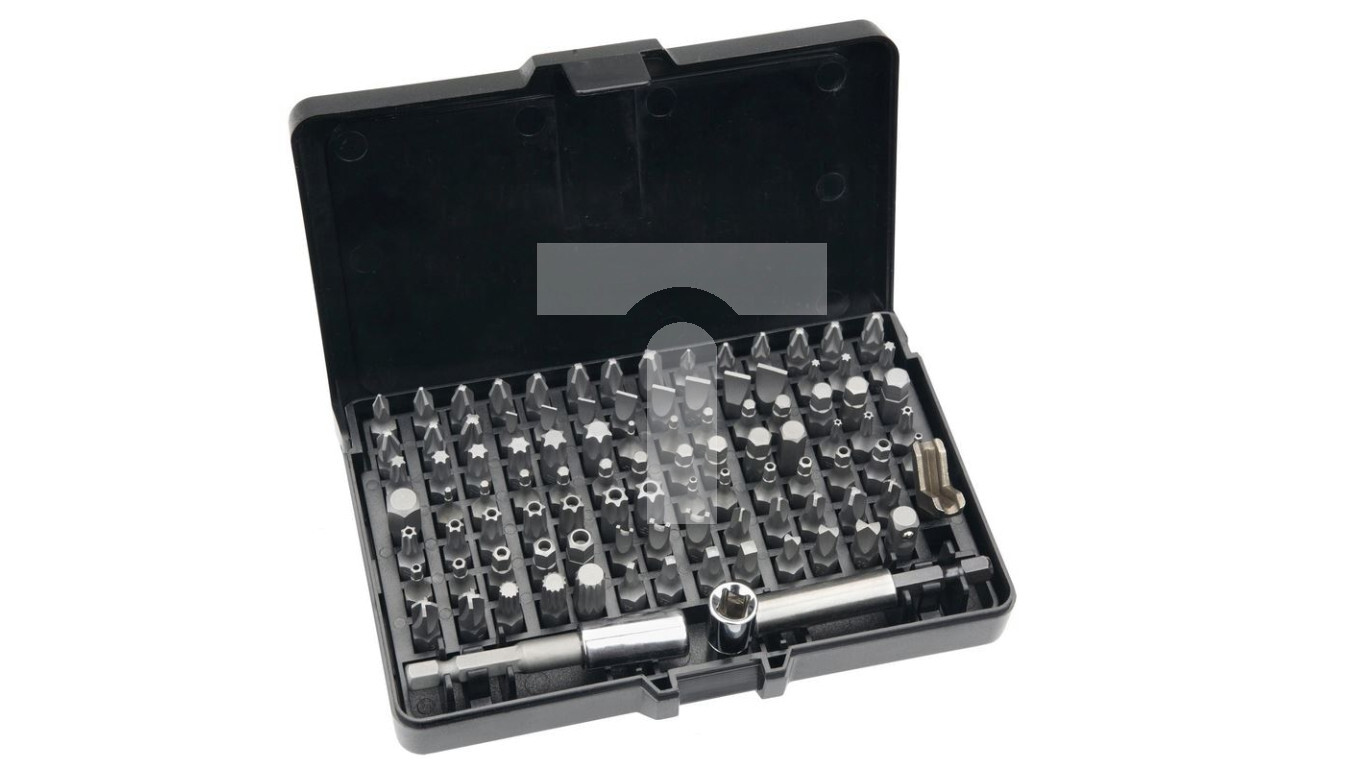 Screwdriver bits with handle /set of 99 pieces/ 06-104 /T2UK