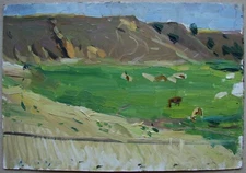Ukrainian Soviet USSR Oil Painting impressionism landscape horse valley field