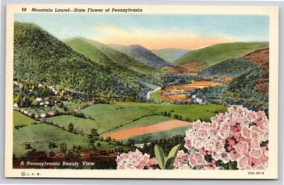 Pennsylvania~Mountain Laurel State Flowers & Valley Scene~Vintage Linen Postcard