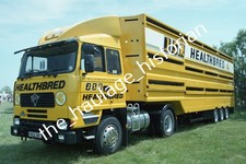 THH Truck Photos - Foden - JSR Healthbred Livestock.