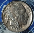 1913 D T1 Buffalo Nickel Details  {{{ 1E58
