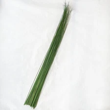 Wispies Pack of 100 Stems 4-5ft Green