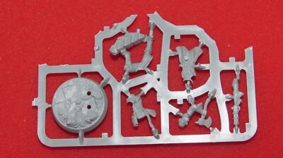 Games Workshop Warhammer Brydget Axwold Hexbane's Hunters Witch Underworlds Brandneu in OVP