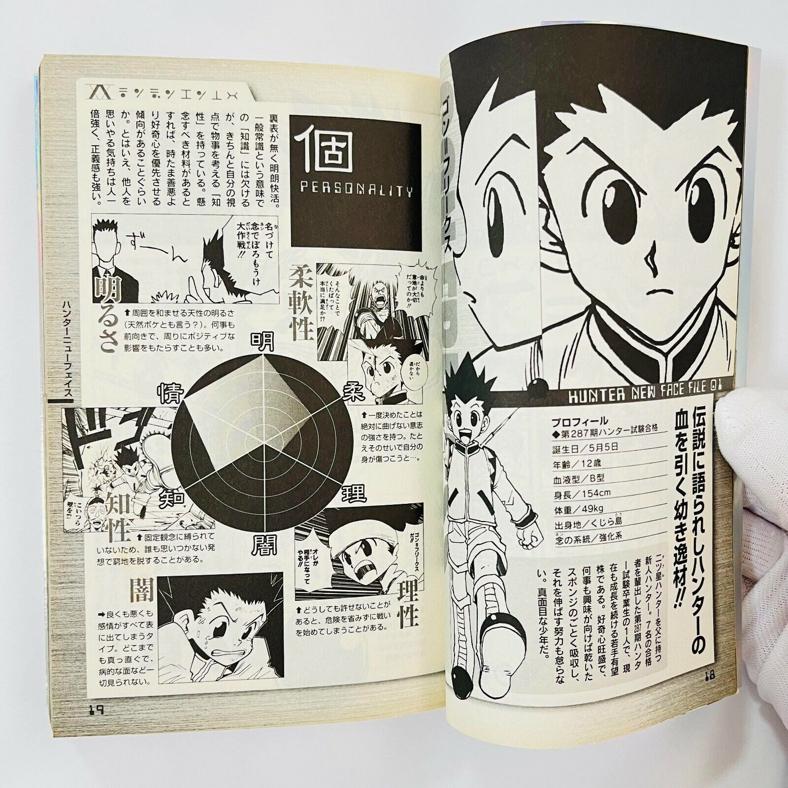 Hunter x Hunter - Hunter's Guide - momozaru