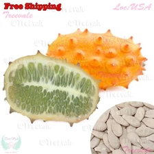 Kiwano Jelly Melon-Long , Horned Melon, African Horned Cucumber, Gakachika SEEDS