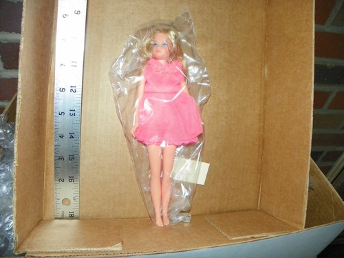 Vintage Barbie: Mod 1969 SKIPPER Doll Carrying Case With Skipper And Clothes - Picture 3 of 17