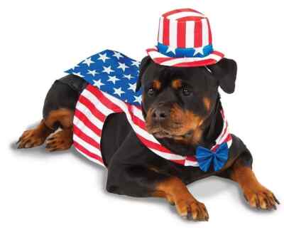 Ruby's Uncle Sam Pet Dog Cat Costume For 4th of July Halloween Parades Americana