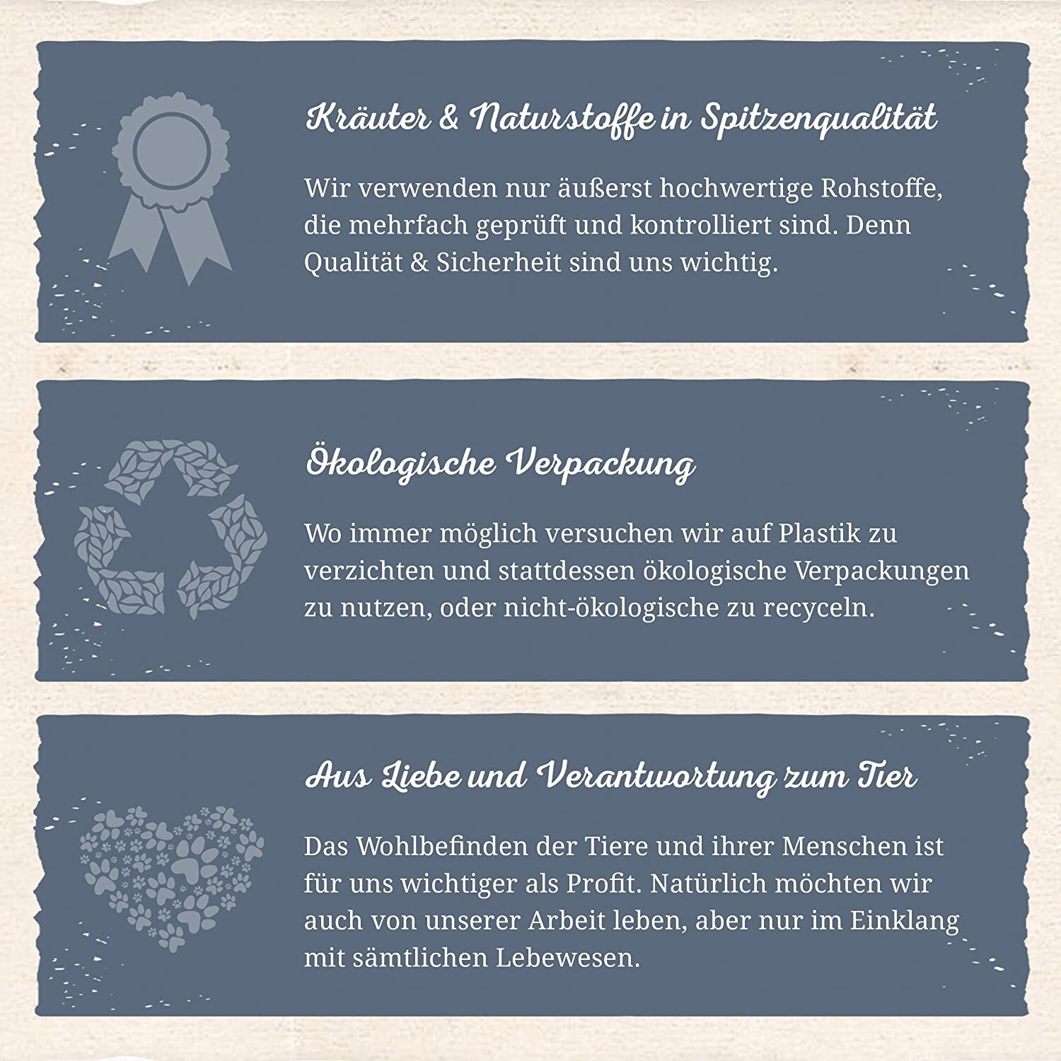 Bild 5 von 5