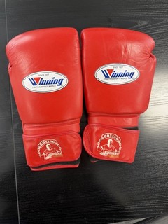 Adult Red Boxing Gloves Brand new