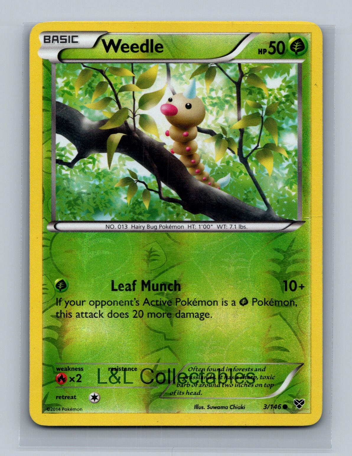 Weedle #3/146 Reverse Holo XY Base Set