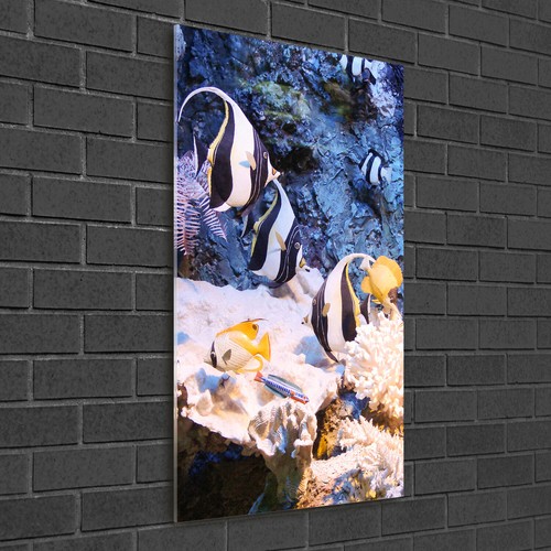 Tulup Image Sur Verre Acrylique Tableaux 50x100 - Sentier de montagne