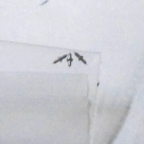 3 HAMILTON 12 SIZE BALANCE STAFFS #1250 SR PIVOT: 10 NOS  --BB-980