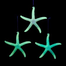 Luminosity Glow In the Dark Starfish Ornament Set T3756
