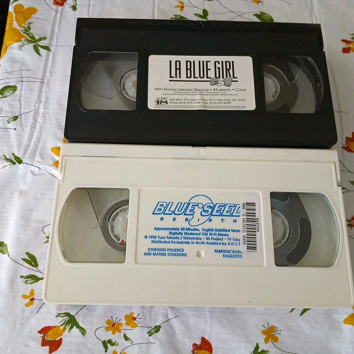 海外アーティスト　VHS 海外アーティスト VHS 海外アーティスト VHS VHS ビデオテープ 輸入版