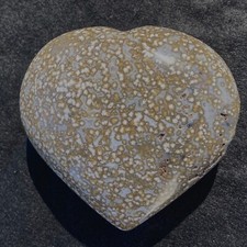Sweet Ocean Jasper Large Heart Orby Starburt Patterns+ Orbs 284 Grams Madagascar