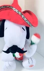 Video 1 of 1