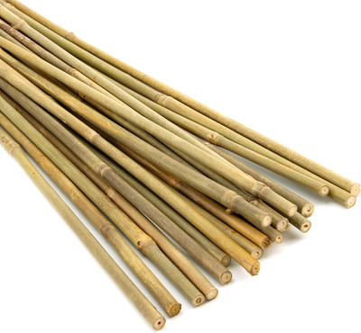 20 Pieces 18 Inch Bamboo Stakes Natural Bamboo Sticks Bamboo Plant Stakes for In