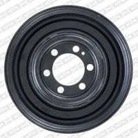 SNR Riemenscheibe, Kurbelwelle DPF353.04