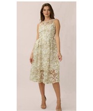 Adrianna Papell Floral Embroidered Crew Neck Fit and Flare Dress