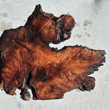 Losa de madera de mezquite burl 22”x15”x.75”
