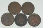 1902 1903 1904 1905 1908 Indian Head Cent Lot of 5 (714)