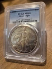 2005 Silver Eagle PCGS MS 68 Toner! Lovely coin!