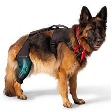 Hybrid Dog Knee Brace for Back Leg, Torn ACL/CCL  Arthritis Support  Boomer...