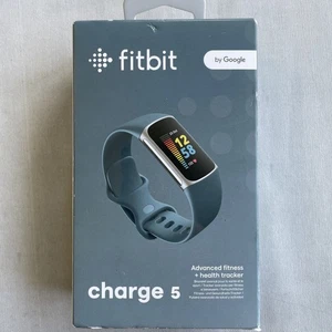 NEW Charge de l'appareil 5 Activité Tracker Smartwatch-Platinum Steel/Steel Blue Band