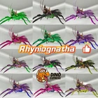 Rhyniognatha ARK🦕 Survival Ascended ASA PVE PC/XBOX/PS