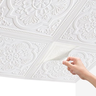 Ceiling Tiles, 3D Wall Panels Foam Peel and Stick, 16 Pcs Waterproof Ceiling ...