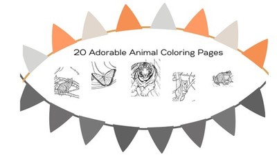 Digital Download set of 20 animal coloring pages Made from real photos very cute