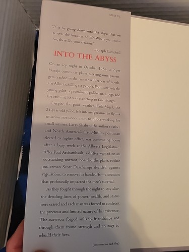 Into the Abyss: An Extraordinary True Story - HC Shaben, Carol - Top - Bild 6 von 13