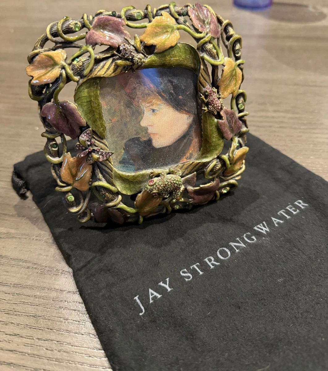 Jay Strongwater Frames for sale | eBay