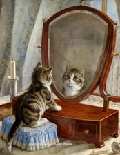 Fairest Cat of All Stares at Self In MIrror 8.5x11" Photo Print Painting Paton
