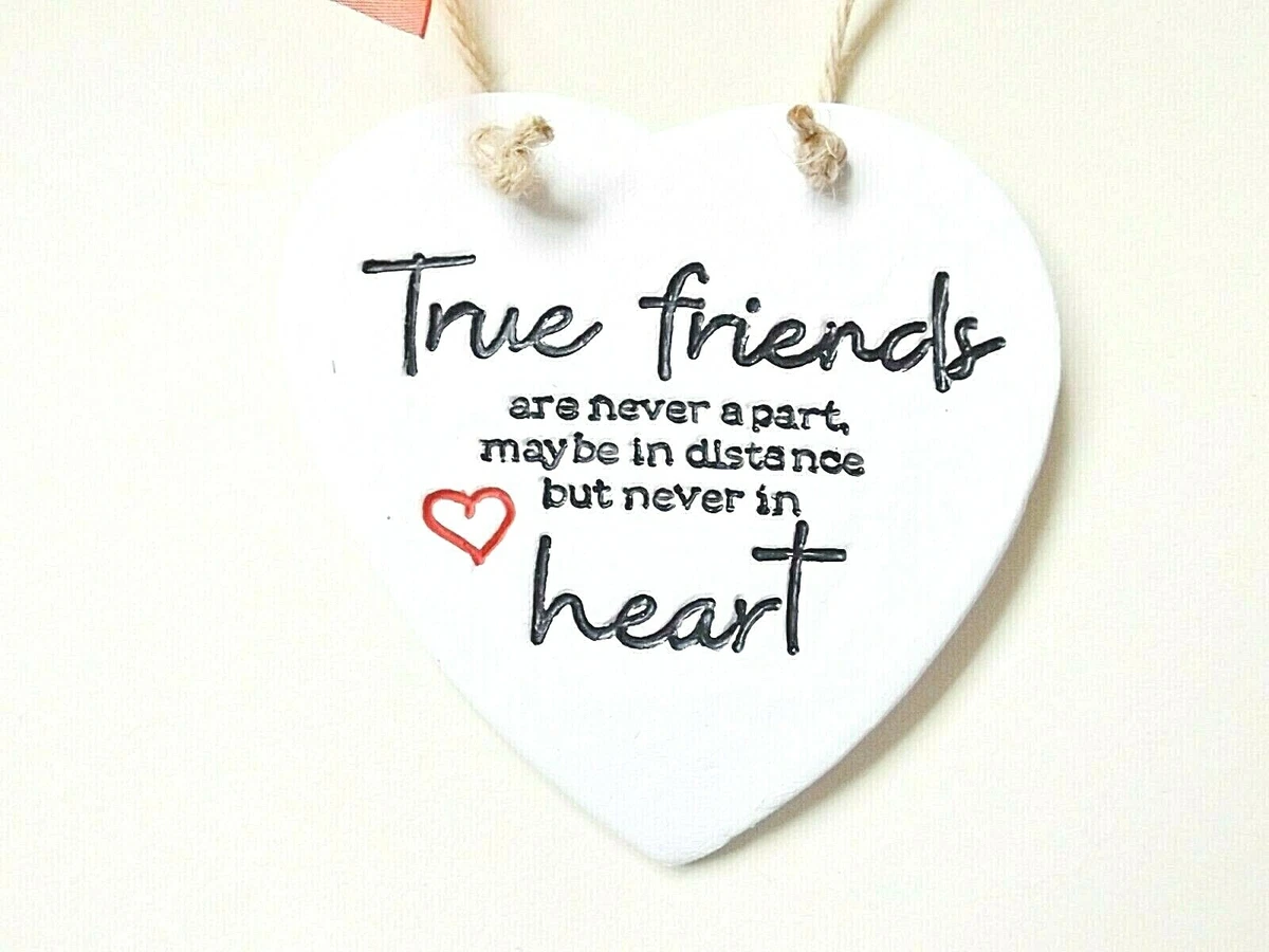 Best Friends Distance Quotes