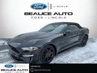 2019 Mustang CONVERTIBLE AUTOMATIQUE+ 19PO NOIR + Moteur 2.3L ecoboost+RARE