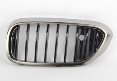 OEM BMW G30 G31 M550DX M550IX SEDAN TOURING GITTER vorne links 