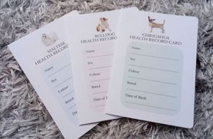 fleaing and worming kittens