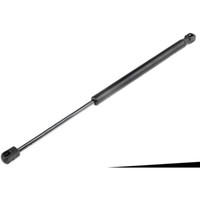 NTY Gasfeder Heckklappe FüR Renault Megane II BM0/1_ CM0/1_ 1.6 16V