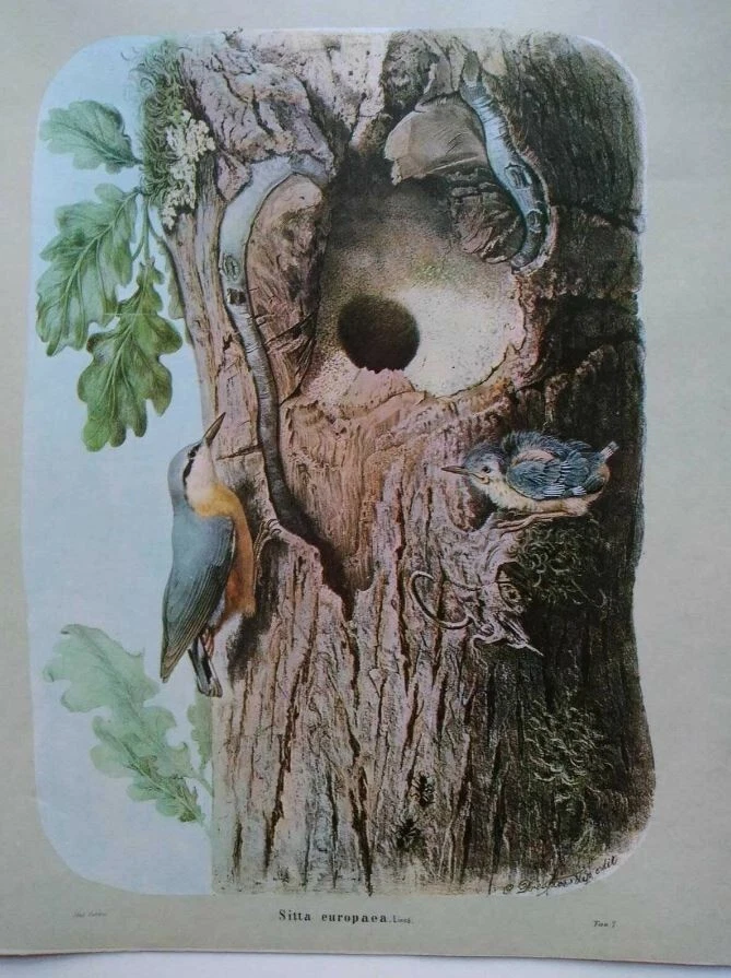Foto 1 di 1