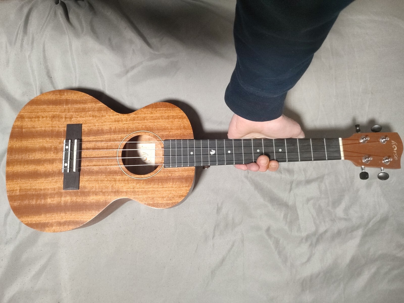 Horse UH26T 26 Inch Soprano Ukulele eBay